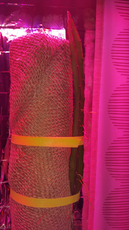 20150512_024121
