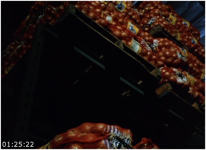 Tarantulas-The-Deadly-Cargo-1977-USA-thriller.jpg