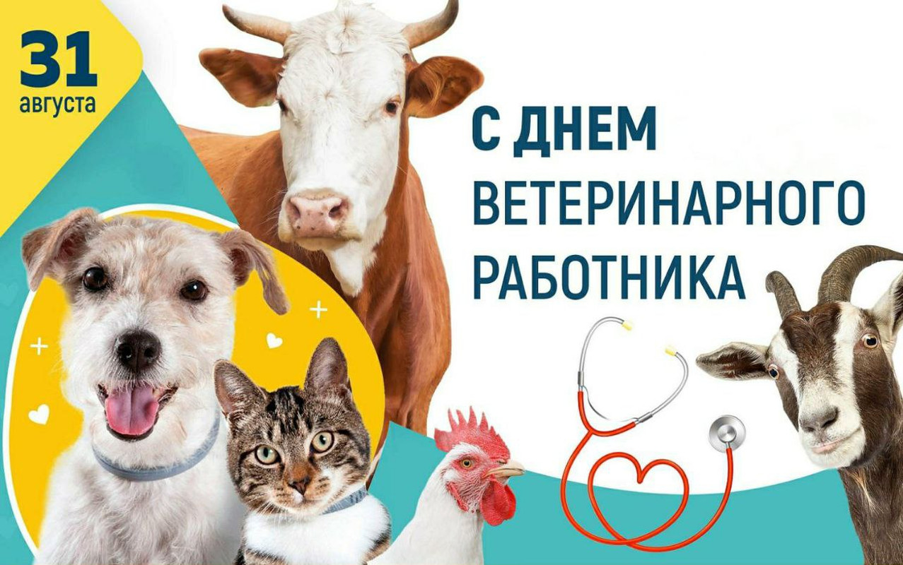 IMG_20230831_134133_779