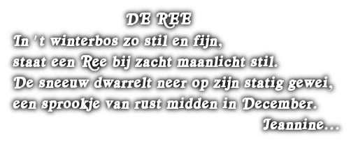 cooltext497896575757776