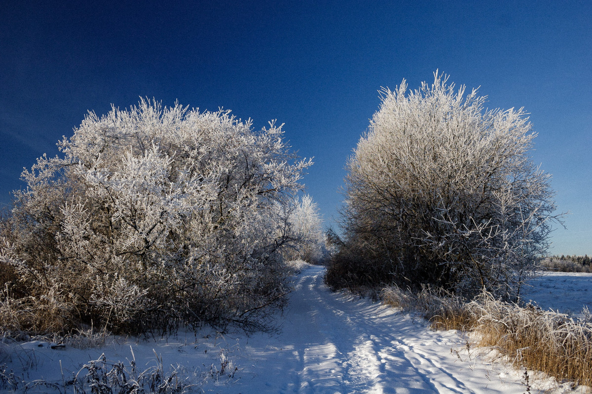 0337 2022 12 02 20 D IMG 0565 — Postimages