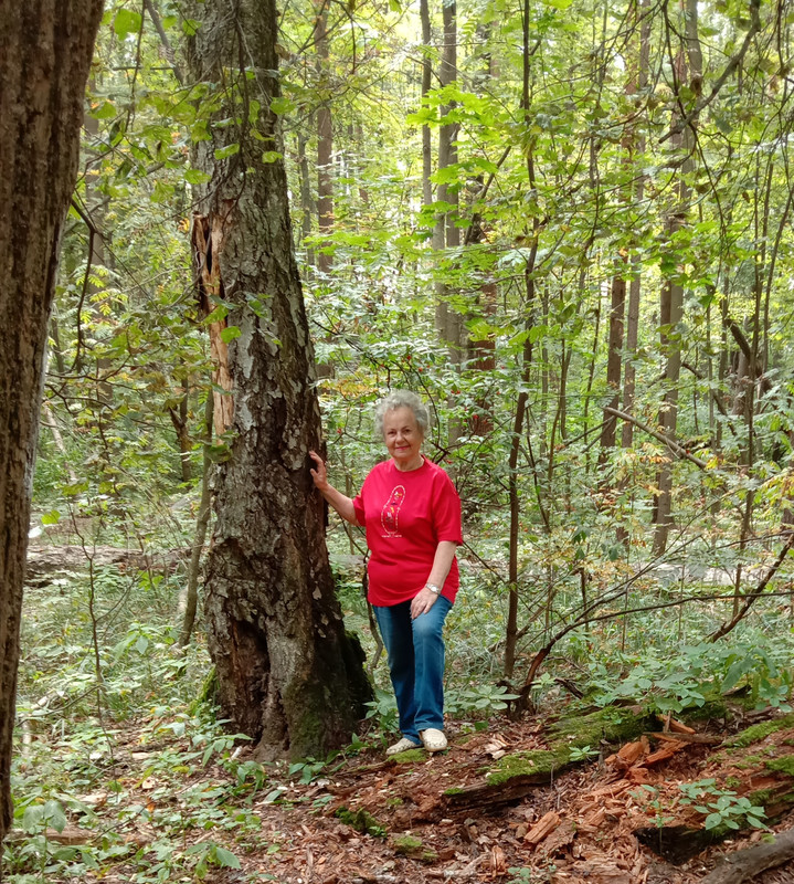 На исходе август 2