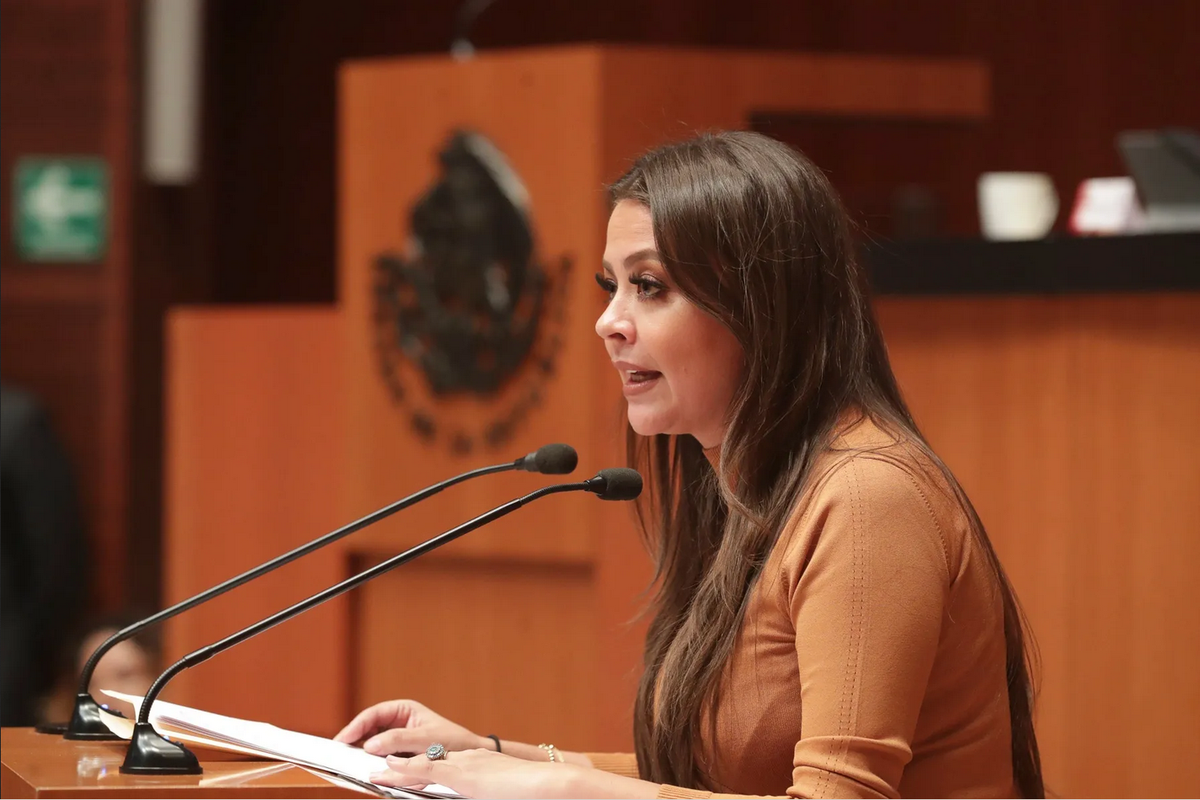 Senadora aprovecha discurso para condenar a la Corte