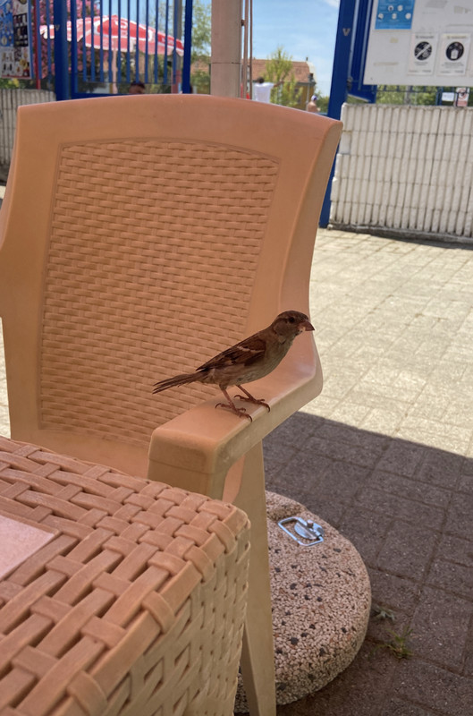 98906A46-20F9-49EB-ADE8-DA0913DF2596