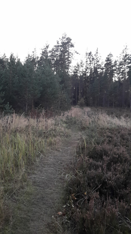 20161008_185421