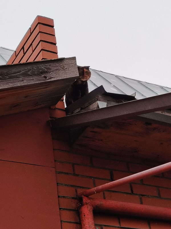 5 photo 2025 12 01 14 37 39