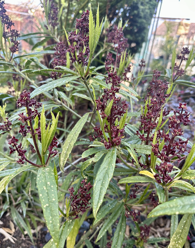 9345BB4A-63FE-404A-AF1B-B6806676E3DC
