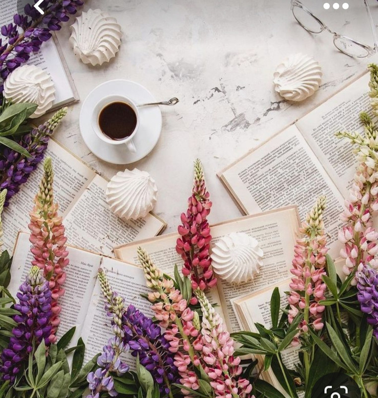 Screenshot_20230712_013729_Pinterest