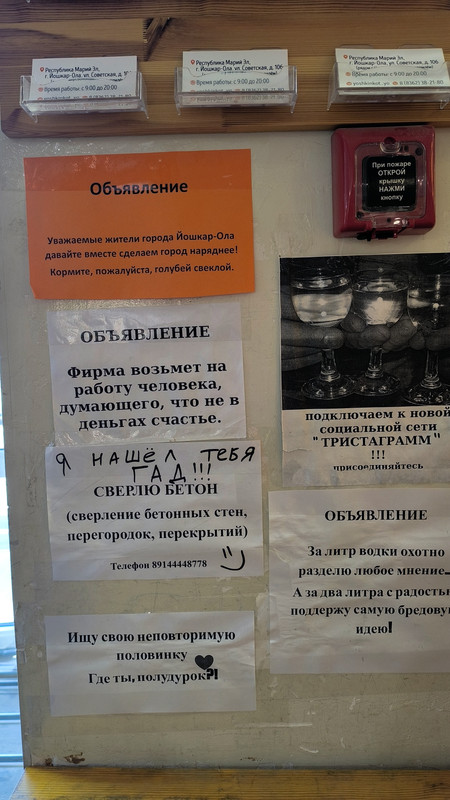 IMG-20240907-123709.jpg