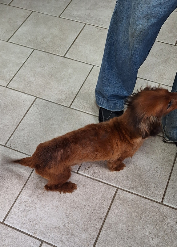 [Image: 20240426-104614.jpg]