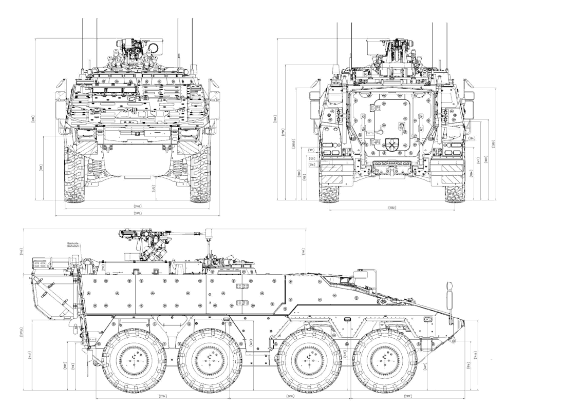 boxer-1.gif