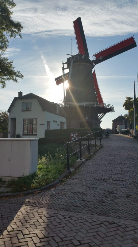 Pieter, De Windotter 03 IJsselstijn 06-10-2018