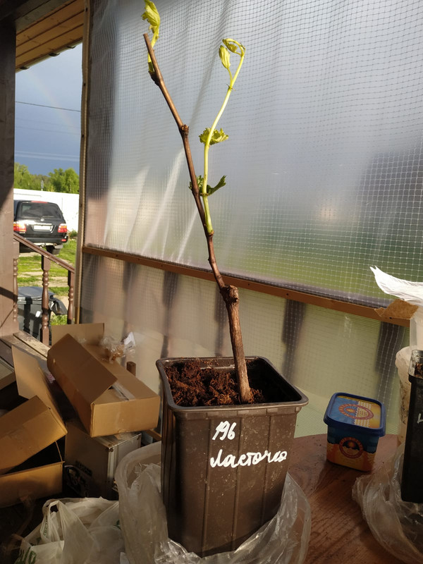 PHOTO-2022-06-01-19-31-56 (1)