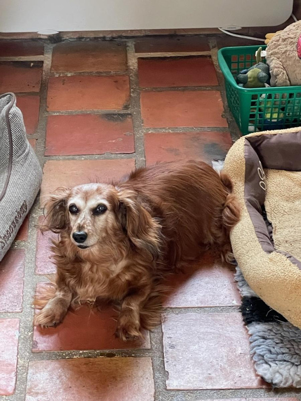 [Image: IMG-4472.jpg]