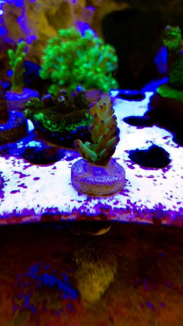 A4990E5B-9476-4C9A-A302-E411479213D9