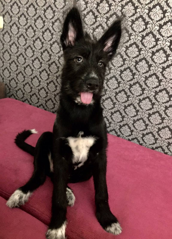 1BE72390-150C-4BE1-A695-10D92EAC4389