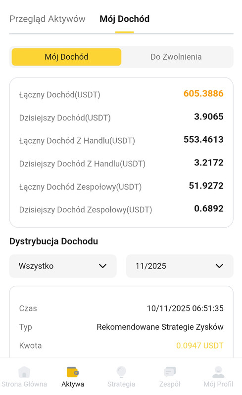 Screenshot 20251110 172533