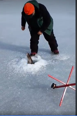 Screenshot 2024-02-07 at 16-16-15 (4) Facebook