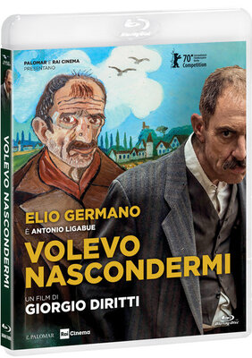 Volevo Nascondermi (2020).mkv HD 720p DTS AC3 iTA x264 - DDN