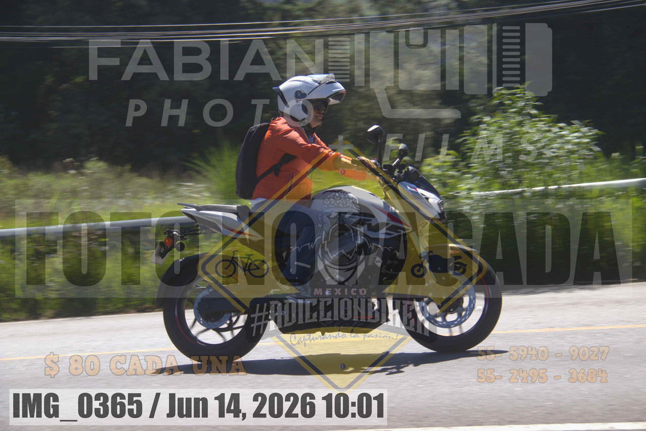 IMG 0365