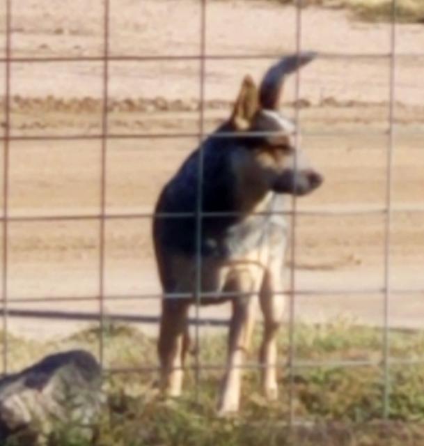 [Image: 01-Jack.jpg]