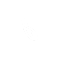003.png