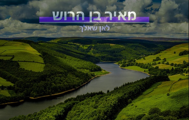 תמונה