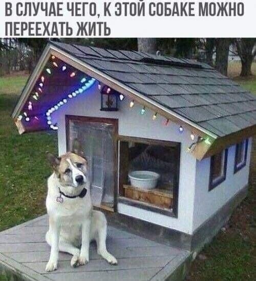 https://i.postimg.cc/7LP22W7M/me-36.jpg