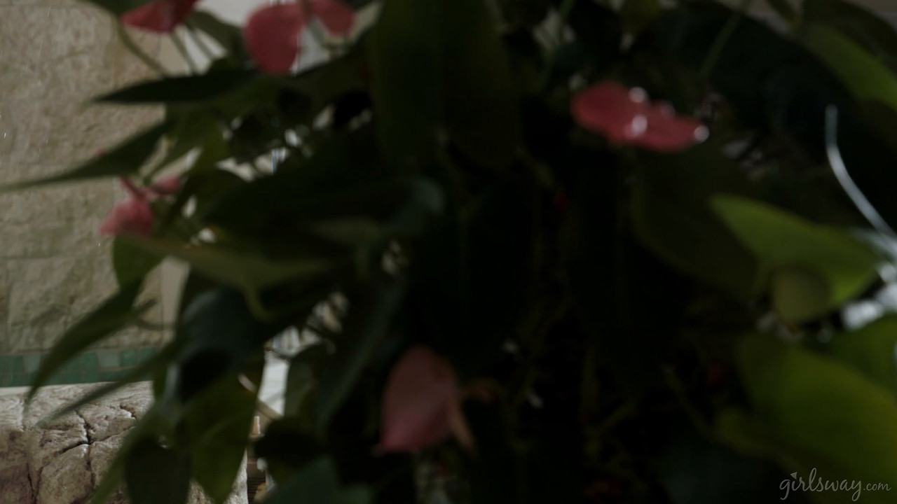 Kenzie Taylor Whitney Wright Bella Rolland - The Unexpected Unicorn - GIRLSWAY.mp4.0001