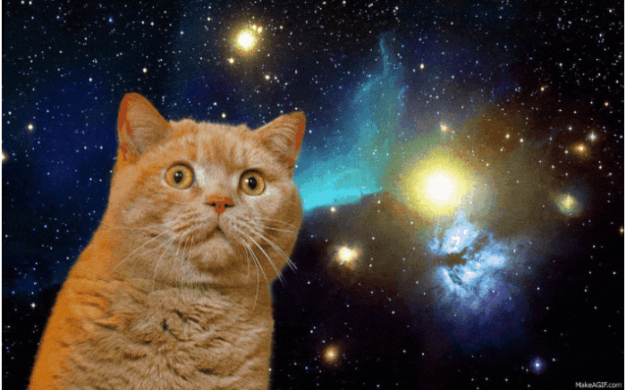 GIF-20250825-071559-608.gif
