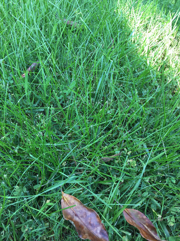 264F37F7-D7F0-4A0D-8082-21F748520026