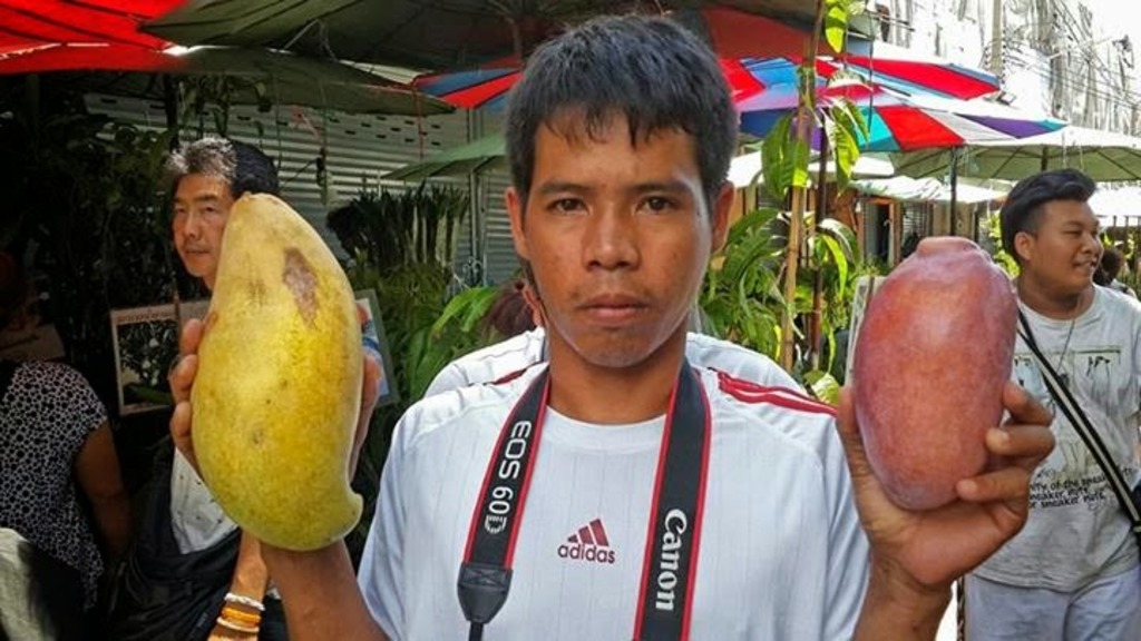 mango cok pai boon and yuwen