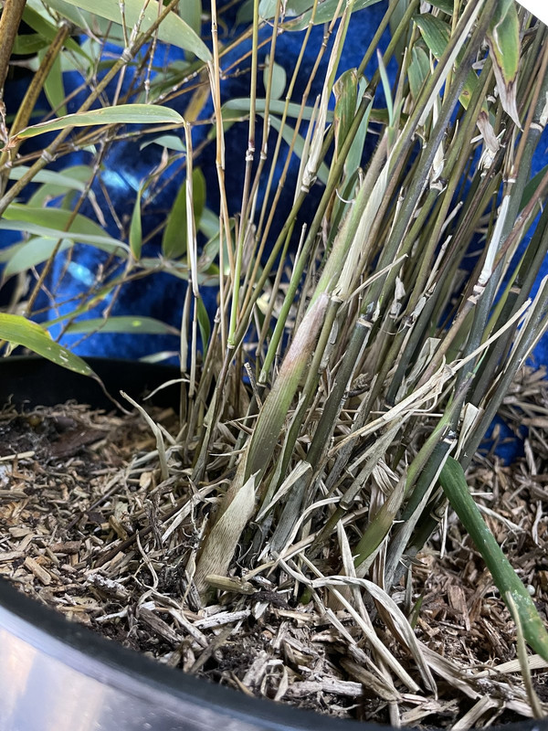 6A5BBF70-D278-4B7F-964E-373A0792548E