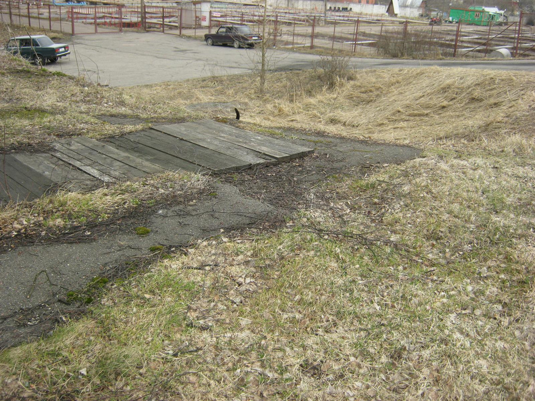 весна, Ропша