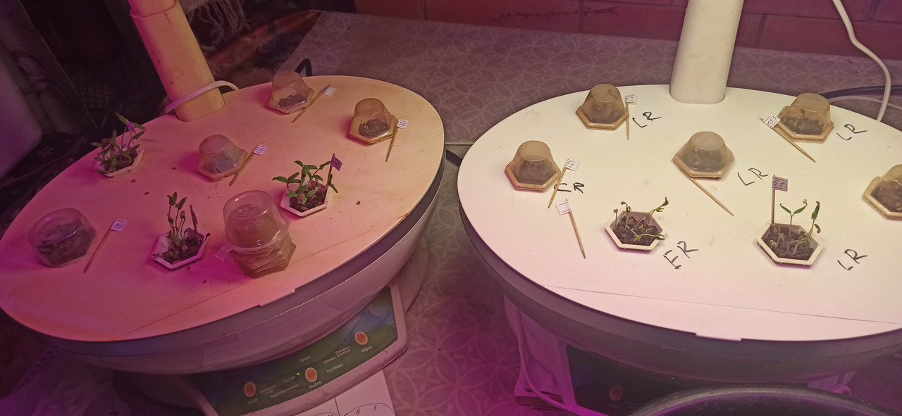 IMG_20240216_232832 - копия