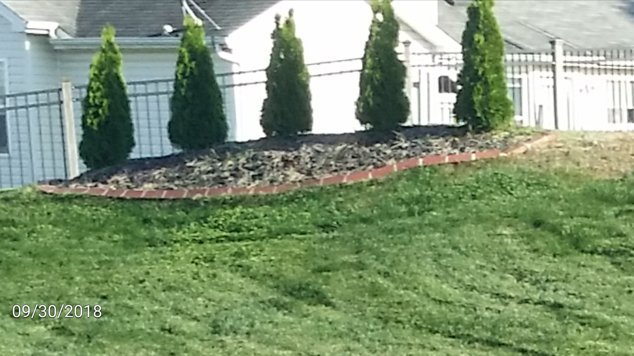 Glyphosate/Emerald green? | Lawn Care Forum