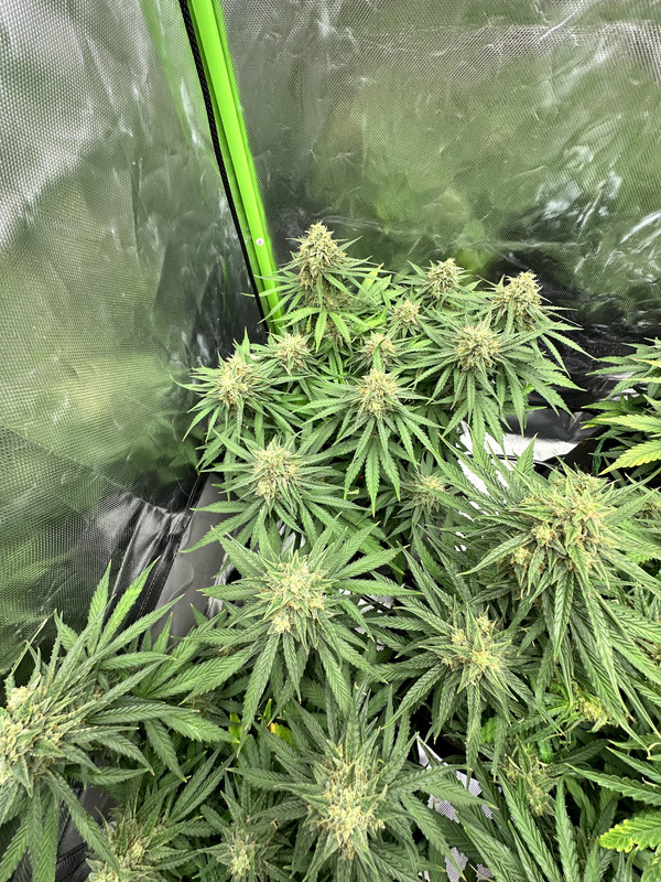 BD6CB0A4-CB7E-413B-9A65-4AF4C1C0AD16