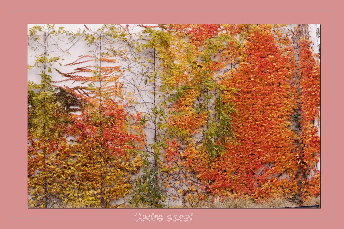 essai cadre_0