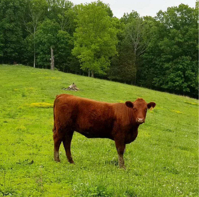 20190512_183232_1557701665620