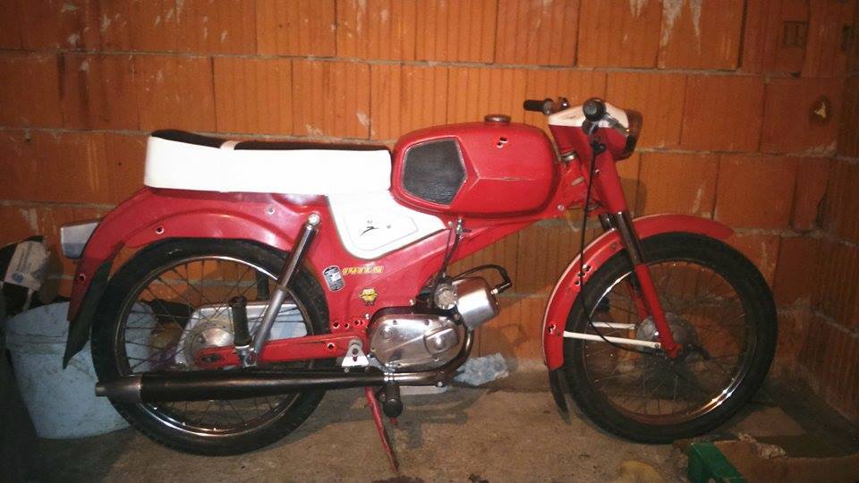 12046831_10205012716976985_5828531737485477708_n