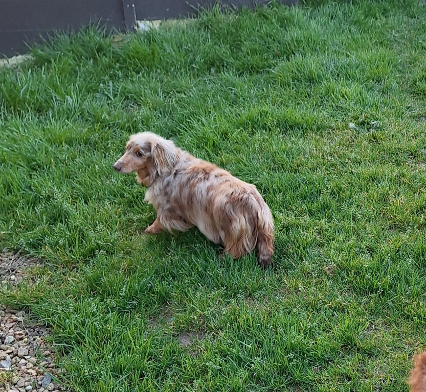 [Image: 20240324-182622-0.jpg]