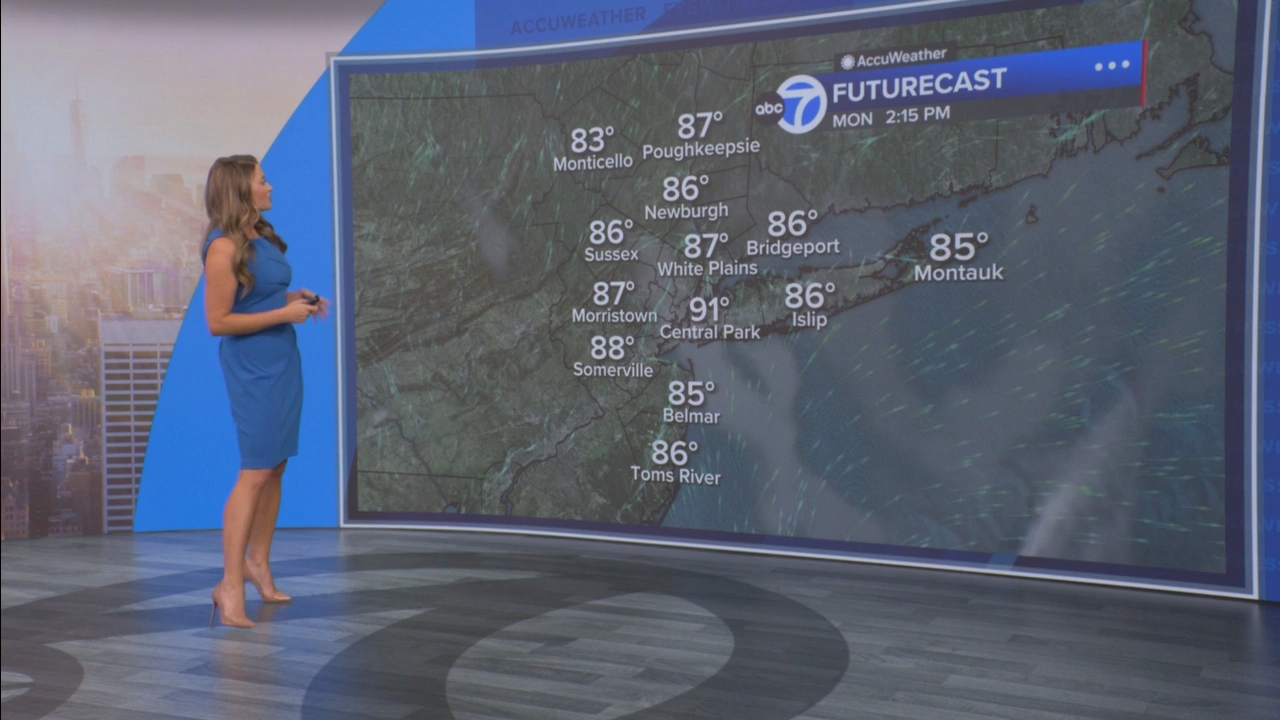 Eyewitness News Mornings at 10_20250811_15001600.ts_snapshot_22.09.378