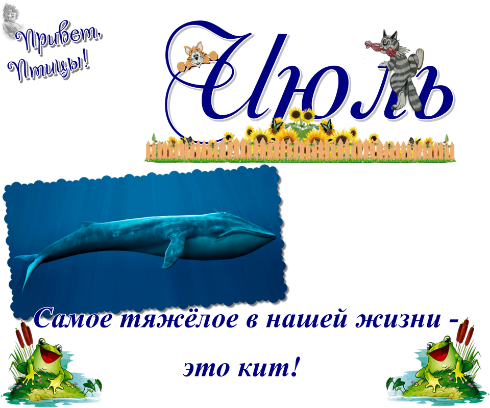 https://i.postimg.cc/7LQw2RfZ/21-07.png