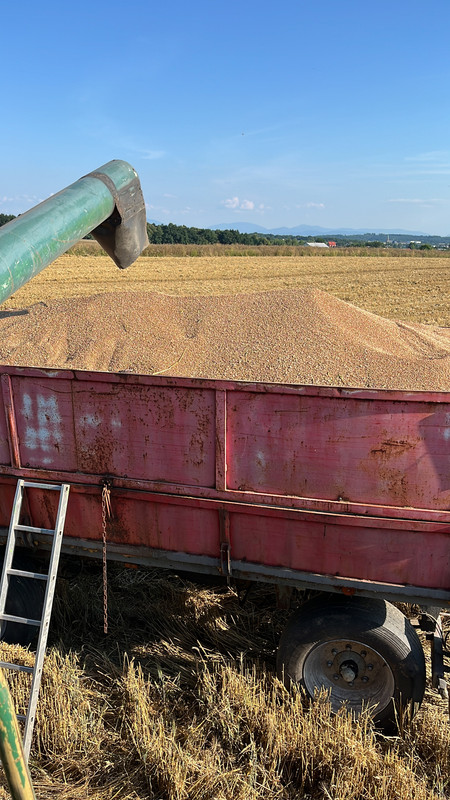 79962B18-2631-45FA-A1E2-51E594FDE07C