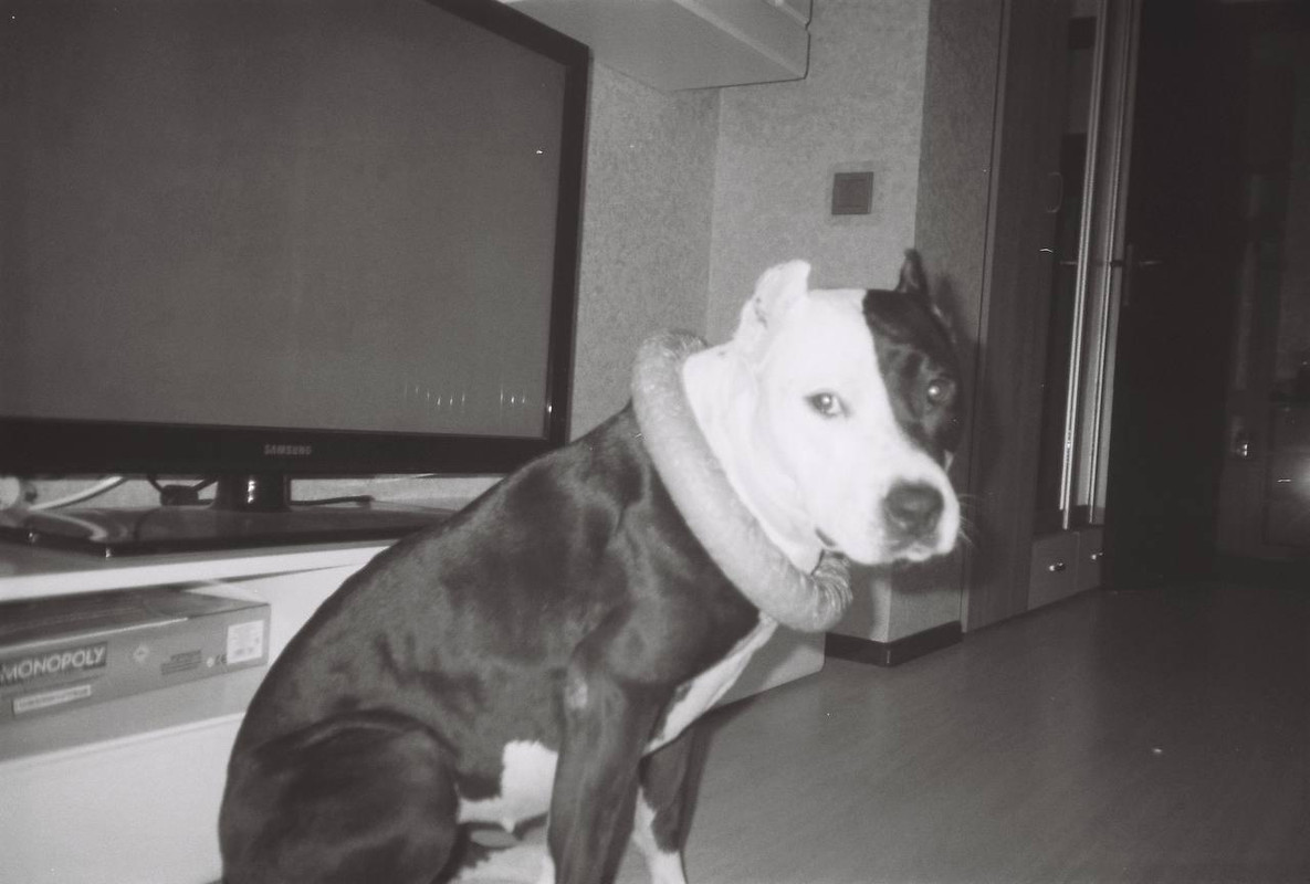 C1A5FC17-A597-47D6-8190-58CBD1AFDBE2