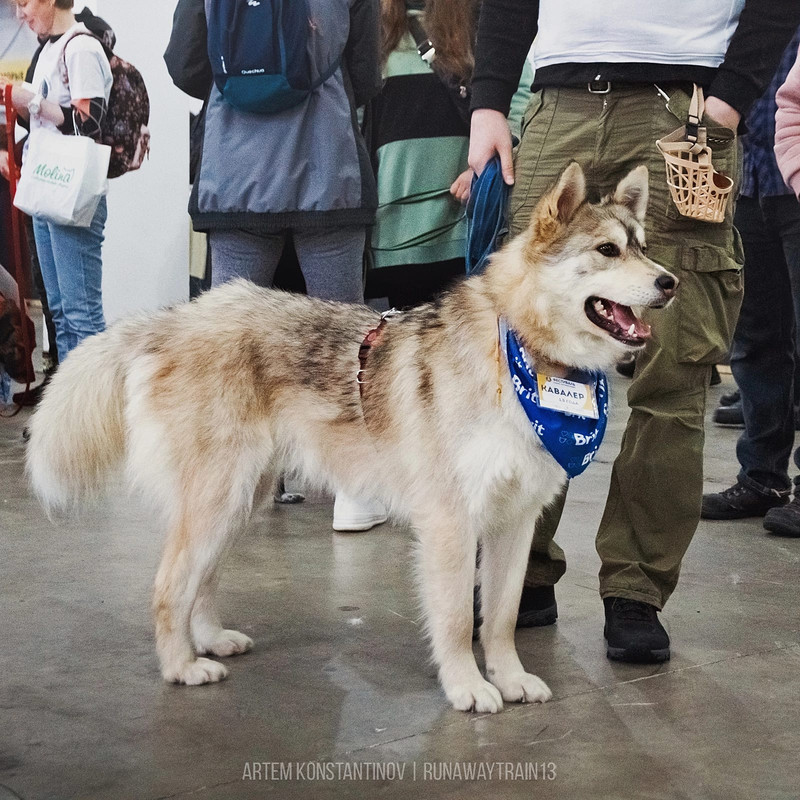 8CAE4117-FBCF-46B9-A20D-9486D2290E75