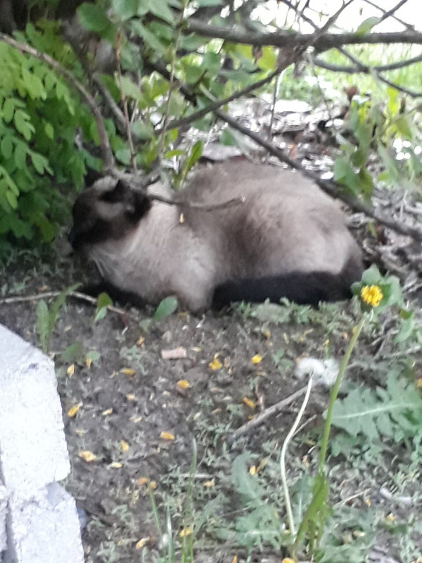 93B3DA82-286A-4EB6-AAB9-5A1C52CA1AAE