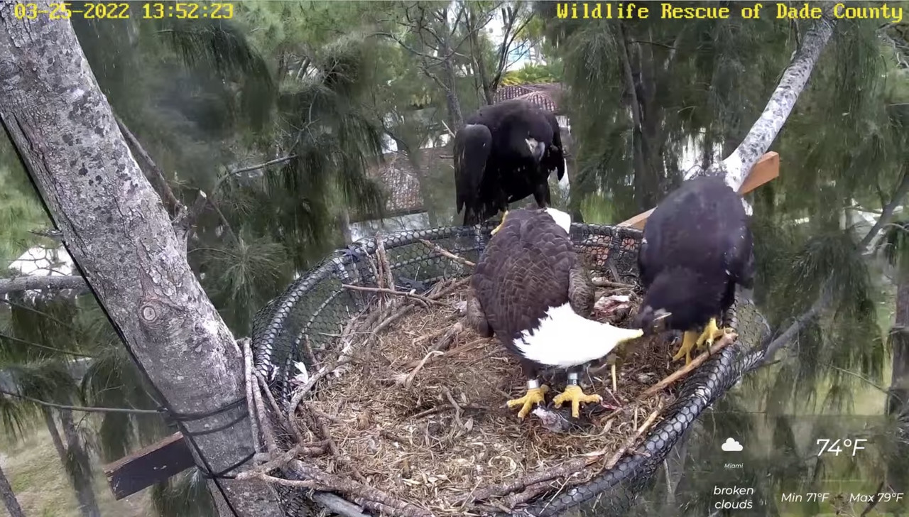 C87C8A95-92B1-41A7-AC6F-3D7A5F8DC6C0