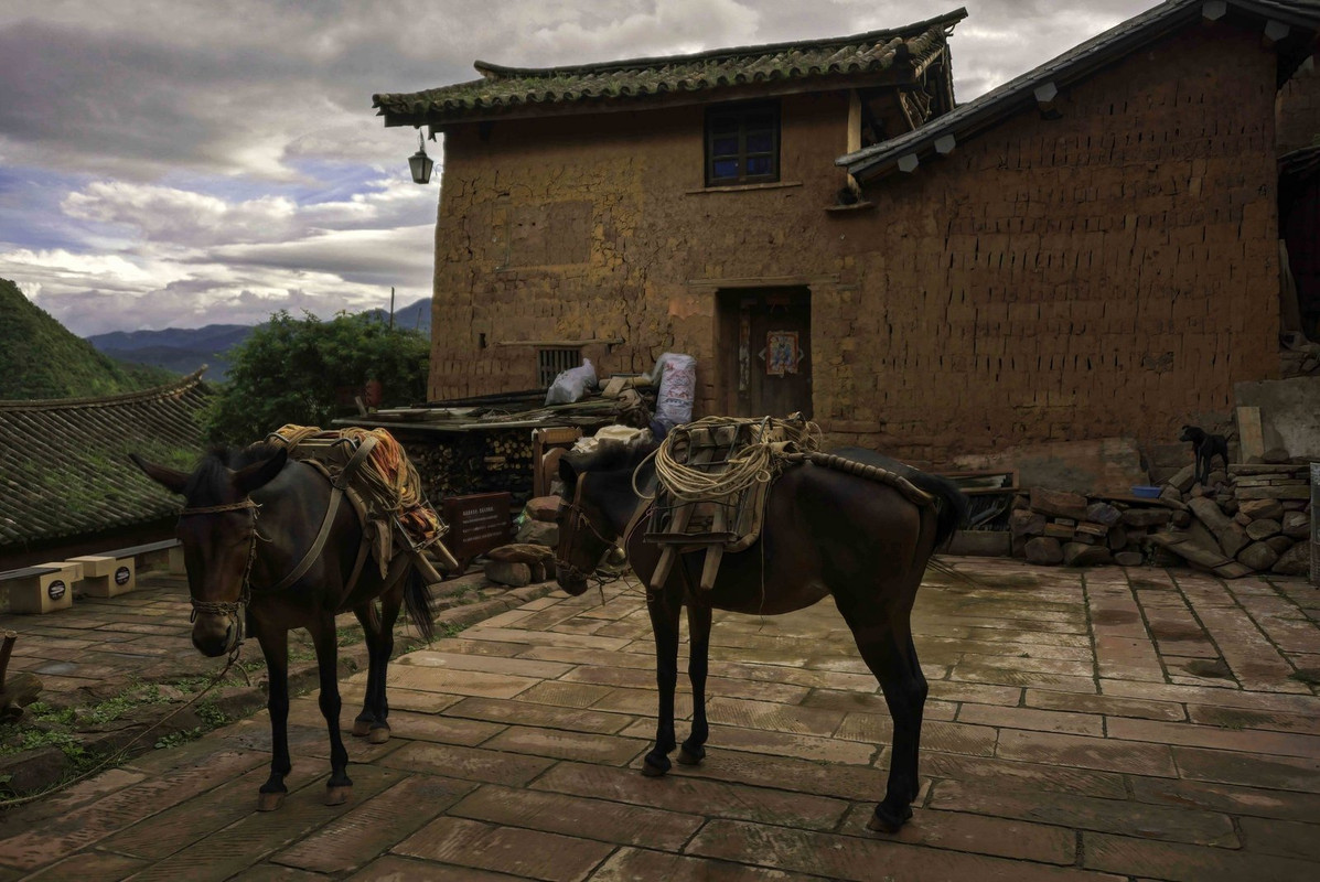 brown-mules.jpg