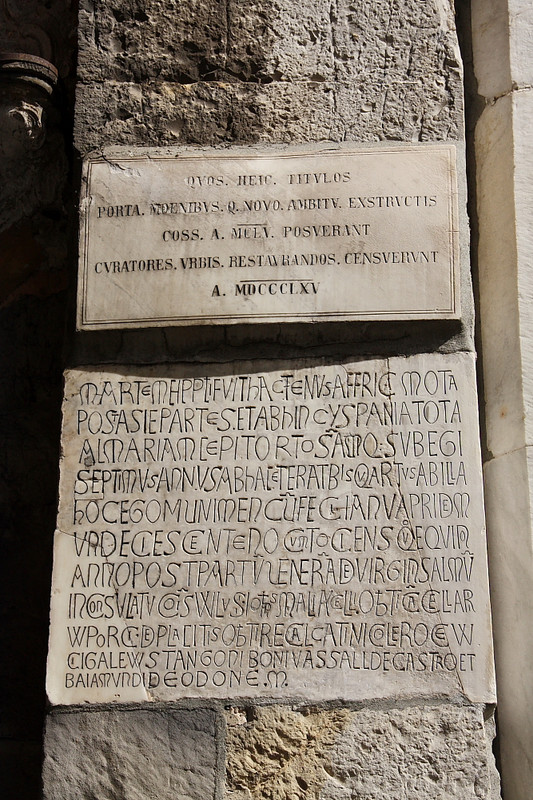 https://i.postimg.cc/7LRZ40qw/IMG_7536.jpg